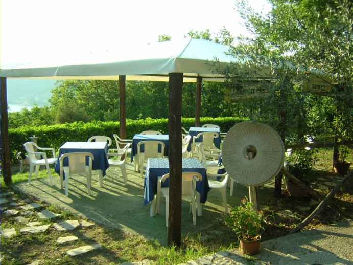 Outdoor covered seating area with white plastic tables and chairs under a canopy, surrounded by trees and greenery